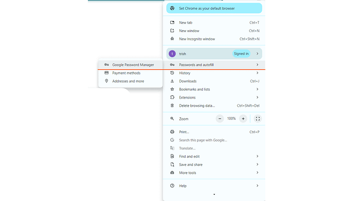Customising Chrome Password Autofill: Balancing Security and Convenience 2 password manager