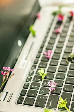 Sustainable IT image of keyboard scattered with flowers