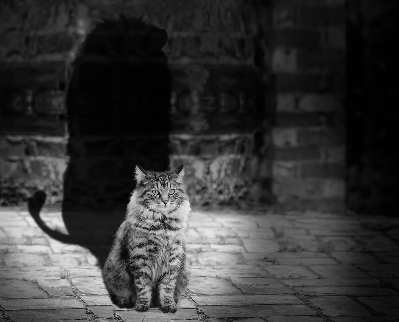 Shadow IT Threats