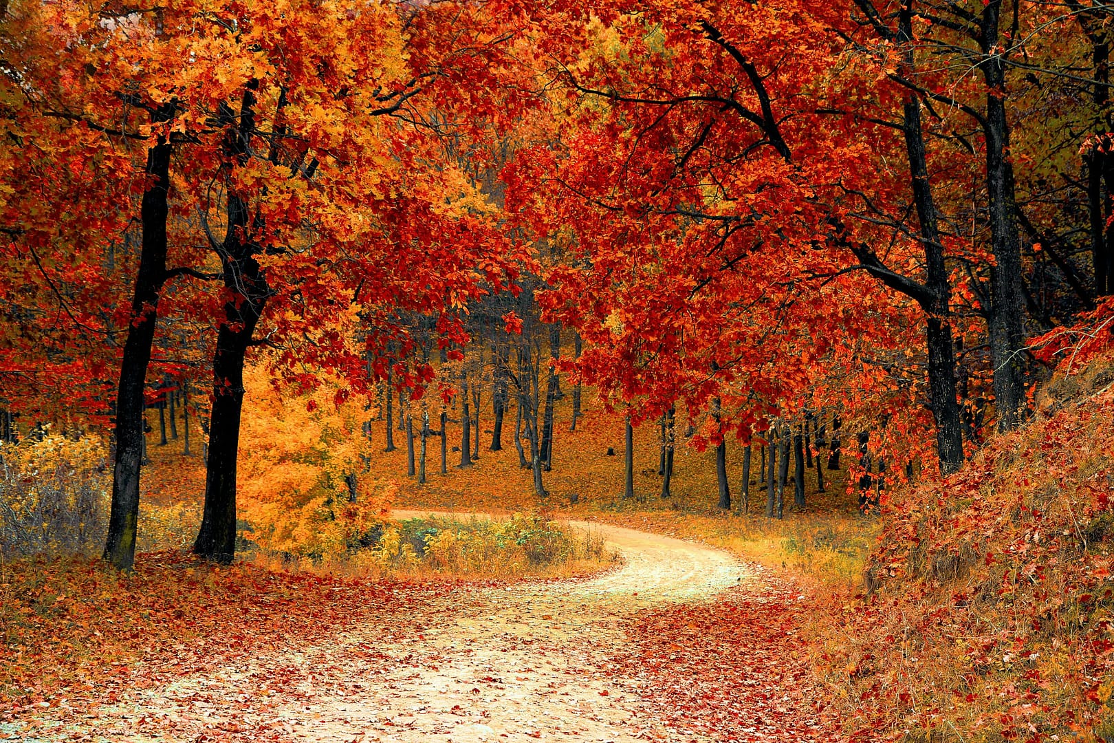 Autumn IT Health Check