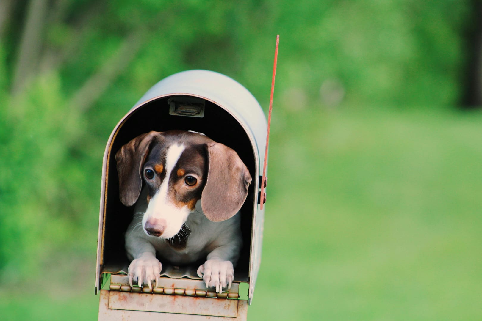 Commercial Networks Shared Mailbox