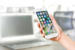 Smishing and Vishing